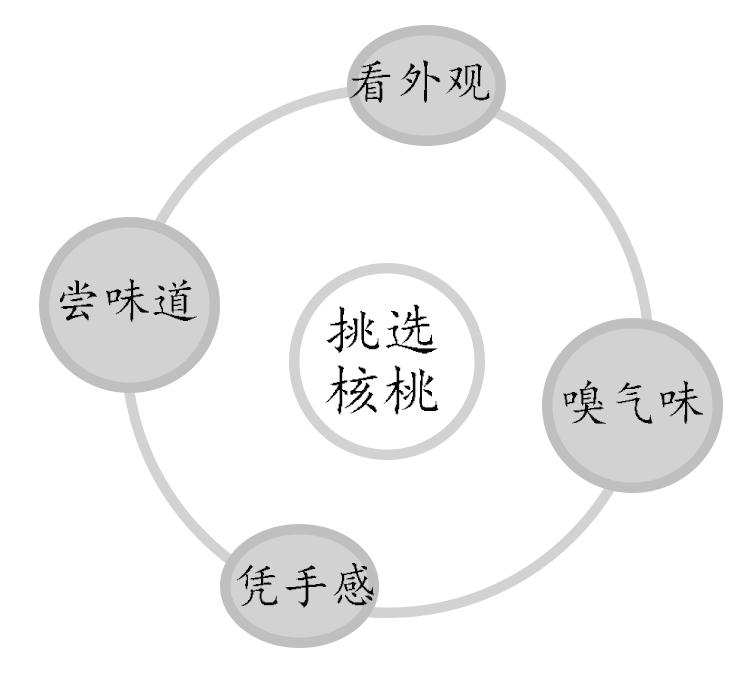 健身益脑，4步挑选优质核桃(图3)