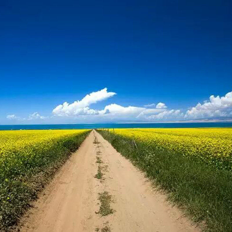 私家团 天水到陇南甘南九寨沟8天7晚 麦积山江迭公路黄龙扎尕那