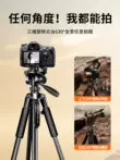 chân máy ảnh mini [Thép carbon dày] Giá đỡ máy ảnh SLR Tripod, chân máy di động chụp ảnh giá đỡ máy ảnh không gương lật điện thoại di động phổ thông Nikon Canon Sony giá đỡ hỗ trợ chụp ảnh ngoài trời chân chụp ảnh điện thoại Phụ kiện máy ảnh DSLR / đơn