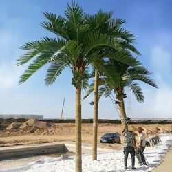 Simulated Coconut Tree, Large Artificial Landscape Tree, Tropical Green Plant Decoration, Fake Coconut Tree Leaves, Bionic Fake Tree, Palm Tree