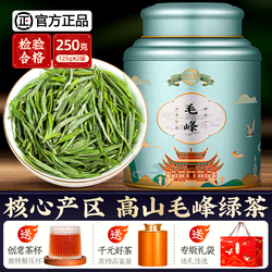 Vůně Taocha Huangshan Maofeng 2023 New Tea Special Anhui Silný Vonný čaj Alpský Zelený čaj Maojian V Konzervě 250g