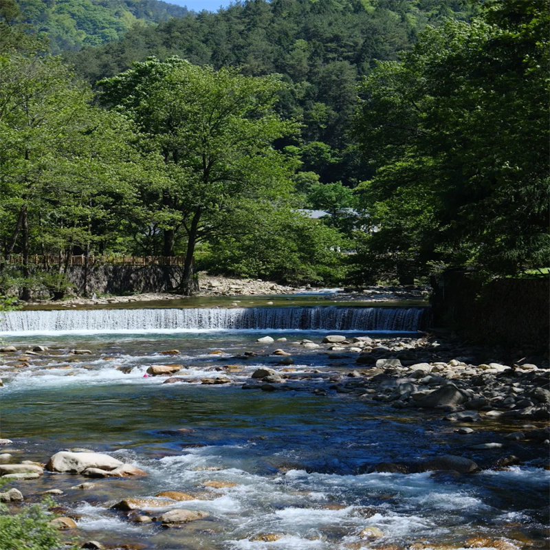 武夷山国家公园一日游 可选含午餐 月亮湾+青龙瀑布+野猴谷