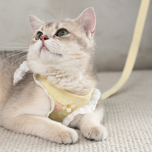 
Cat traction rope, anti-breakaway pet harness, small dog vest, breathable clothes, cat rope for walking outside, cat rope
