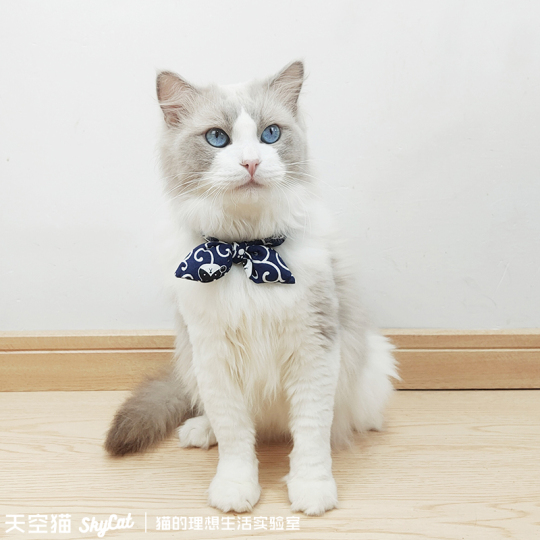 スカイキャット 猫用蝶ネクタイ - 子猫のための可愛いペットネックレス