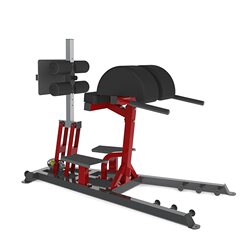 Commercial Roman Chair Ghd Multifunctional Lumbar and Abdominal Muscle Training Goat Stand Roman Chair for Waist Strength Training
