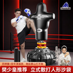 Sandbag Boxing Human-Shaped Standing Dummy, Wall Target for Children, Adult Martial Arts Training Equipment