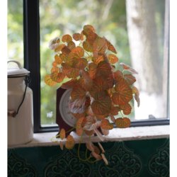 Nordic Style Artificial Flower Vine Plant Fake Potted Plant Landscaping Living Room Green Plant Ornament Window Display Store Decoration