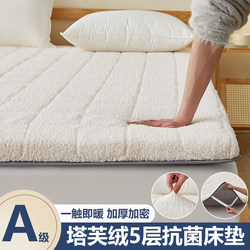 New Milk Velvet Mattress Pad for Home Use, Taffeta Velvet, Thickened for Winter, Skin-Friendly Mattress for Dormitory Students, Single Mattress