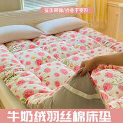Autumn and Winter Thickened Warm Milk Velvet Feather Cotton Mattress Pad Soft Cushion for Home Student Dormitory Single Bed Mattress