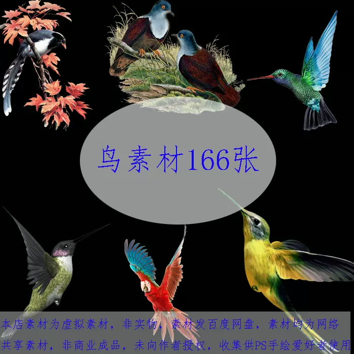 8 鳥素材 古風ps鳥素材工筆畫免扣鳥設計png