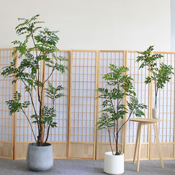 High-End Artificial Green Plants, Lacquered Wood, Indoor Shopping Mall, Store, Hotel, Window Display, Living Room, Large Floor-Standing Decorative Bonsai