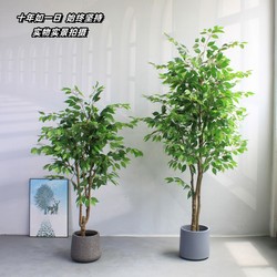 High-End Artificial Green Plant Banyan Tree, High-End Light Luxury Bionic Plant Potted Fake Tree, Large Floor-Standing Decoration for Living Room