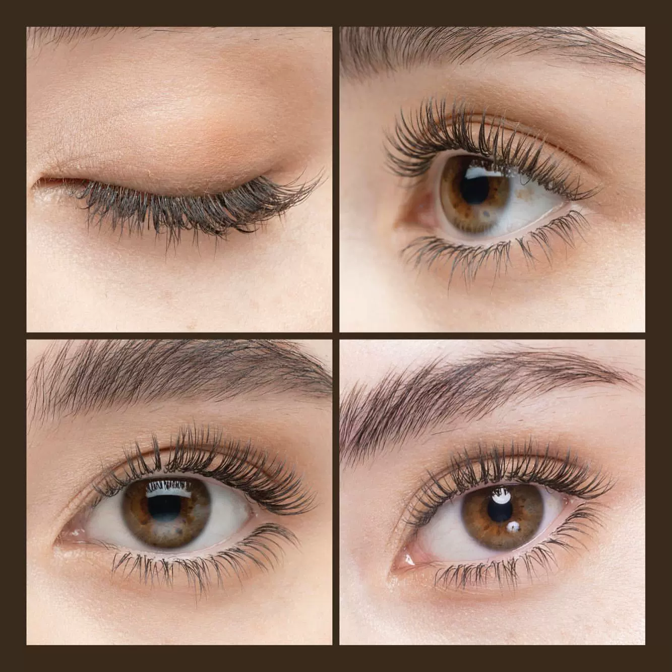 eyebeam,eyebeam注册错误408怎么解决 eyebeam,eyebeam注册错误408怎么解决