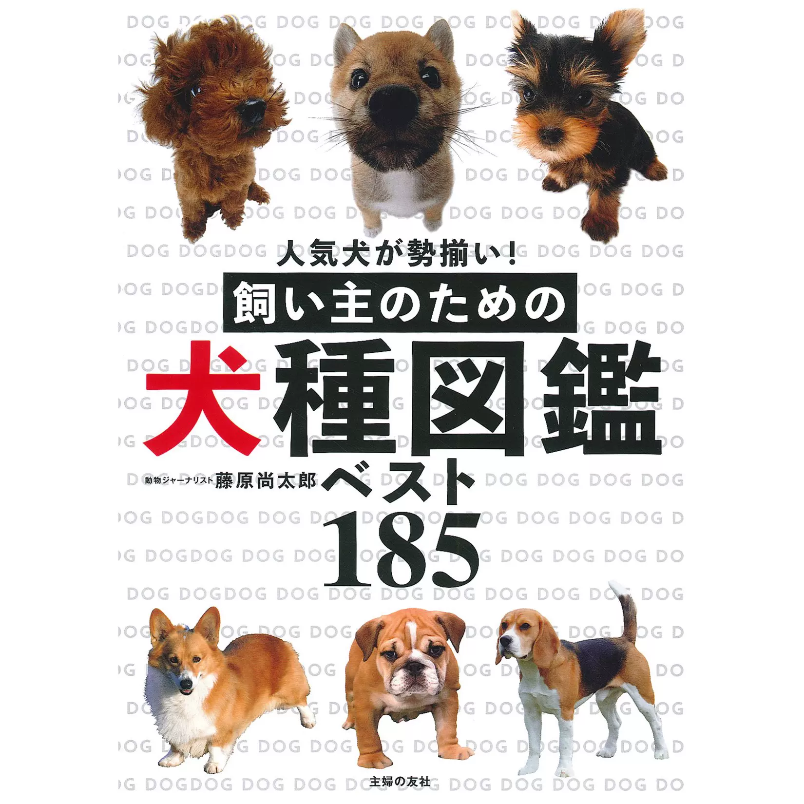 飼い主のための犬種図鑑ベスト185 藤原尚太郎犬種指南書日本 Taobao 飼い主のための犬種図鑑ベスト185 藤原尚太郎犬種指南書日本 Taobao