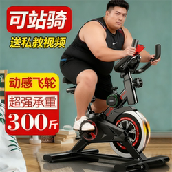 Dynamic Spinning Bike for Commercial and Home Use, Indoor Bicycle for Weight Loss, Fitness Equipment, Silent Exercise Bike