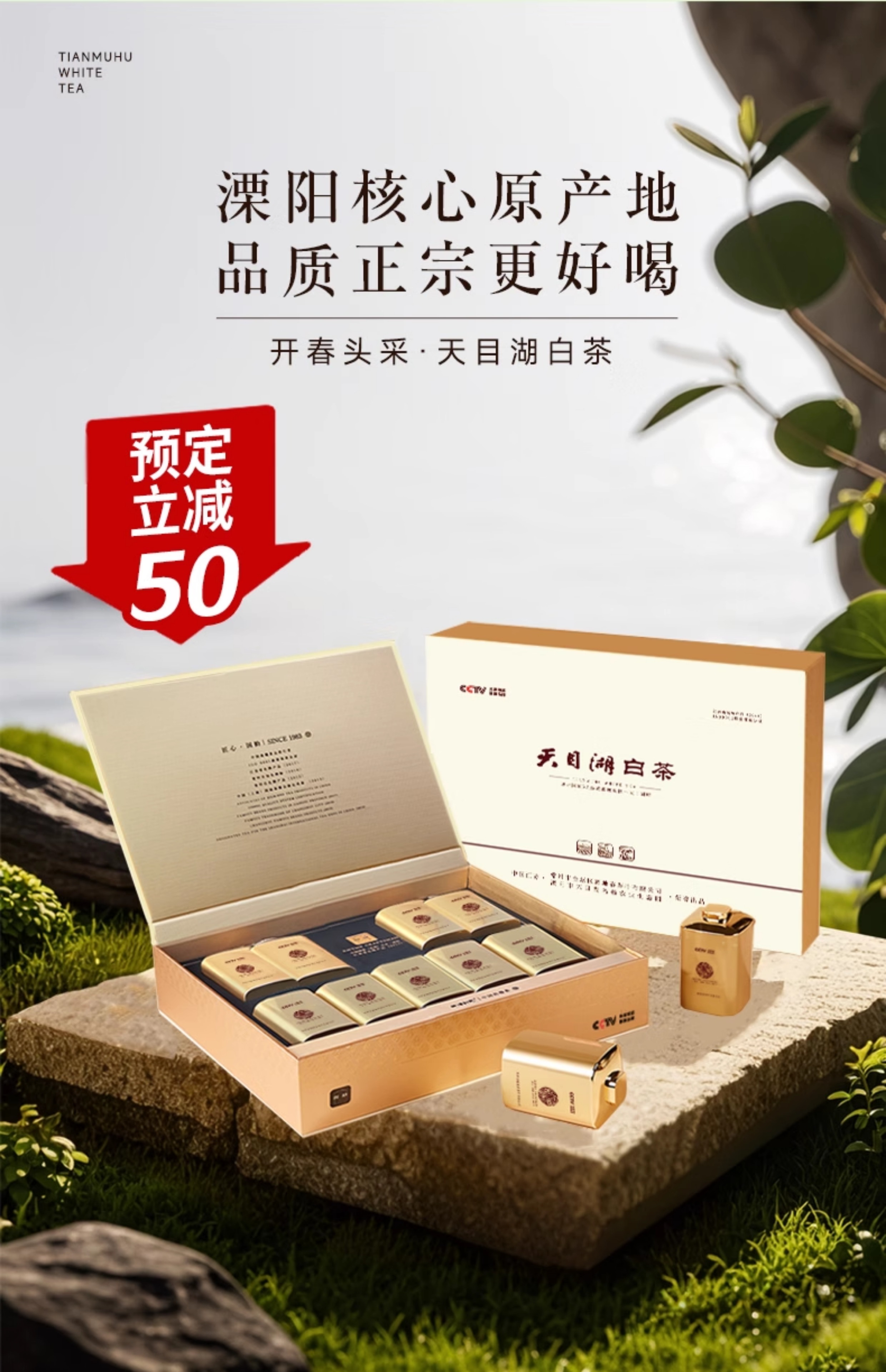 天目湖白茶、ギフトボックス 4缶セット 2023年 溧陽天目湖 白茶 明前 プレミアム ギフトボックス