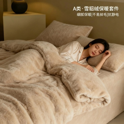 Winter A-Class Light Luxury Two-Tone Ferret Velvet Four-Piece Set, Thickened and Warm Milk Velvet Bed Sheet, Duvet Cover, Bedding