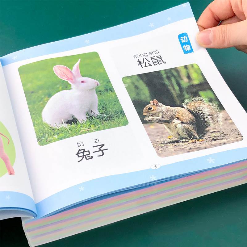 幼儿早教书籍看图认物大全水果动物昆虫恐龙形状颜色数字绘本儿童认图1-2-3-4-5岁6宝宝识物启蒙认知婴儿益智幼儿园专注力训练书-淘宝网