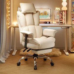 Computer Chair, Sofa Chair, Comfortable Home Office Chair for Long Sitting, Gaming Chair for Girls, Reclining Chair for Lazy People