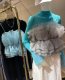 Very upright! LB+ is coquettish and beautiful! Fairy-like, sweet bouquet of tulle and tulle top