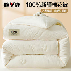 Yalu Xinjiang Pure Cotton Quilt Core, Thickened and Warm Winter Quilt, Student Dormitory Quilt, Spring and Autumn Quilt, Suitable for All Seasons