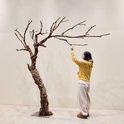 Simulated Dead Tree Branches for Landscaping Decoration, Natural Dead Tree Landscape, Large Shaped Trees for Indoor and Outdoor Courtyards, Natural Wood