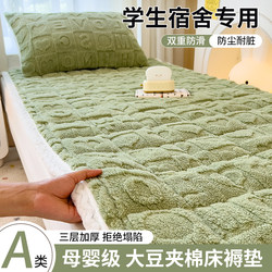 Winter Quilted Bed Protector Thickened Mattress Student Dormitory Soybean Mattress Pad Bedroom Special Anti-Slip Pad