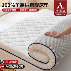 Lamb Wool Mattress Pad for Home Use, Thickened for Winter Warmth, Milk Velvet Bed Mat, Tatami Mat, Mattress Topper