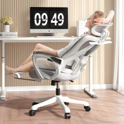 Sanmeng Ergonomic Chair, Waist-Protecting Computer Chair, Comfortable Home Chair, Reclining Office Chair, Breathable Gaming Chair