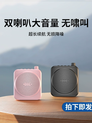 Беспроводной портативный микрофон, труба, пчела, bluetooth, обучение