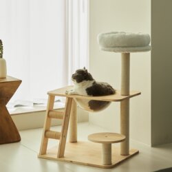 Solid Wood Cat Climbing Frame with Space Capsule, Compact and Low-Profile, Universal Cat Stand That Doesn'T Take up Much Space, Home-Use Scratching Post and Cat Scratching Board