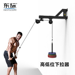 Dongji Wall High Pull-Down Trainer Exercise Back Muscle Pressure down Fitness Equipment Big Bird Pull Back High and Low Pull