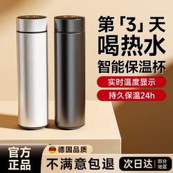 Stainless Steel Thermos Cup, Large Capacity, New Style Kettle Cup, Tea Brewing, Water Separation, Portable for Outdoor Use, Student 316L