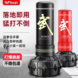 Boxing Punching Bag, Freestanding Home-Use Sandbag, Adult and Children's Boxing Target, Gloves, Wobble Dummy, Taekwondo Training Equipment