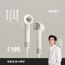 [Export Hot Item] Olayks Instant High-Speed Hair Dryer for Home Use, 6.6 Billion Plasma Hair Care Constant Temperature Hair Dryer