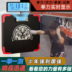 Smart Boxing Wall Target Force Tester Dynamometer Training Sandbag Punching Speed Strength Weight Test Target