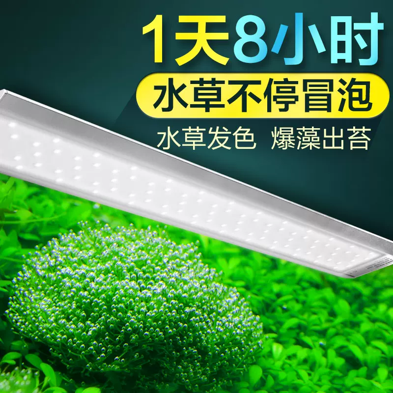 水草灯鱼缸灯led防水全光谱照明灯爆苔爆藻灯小型