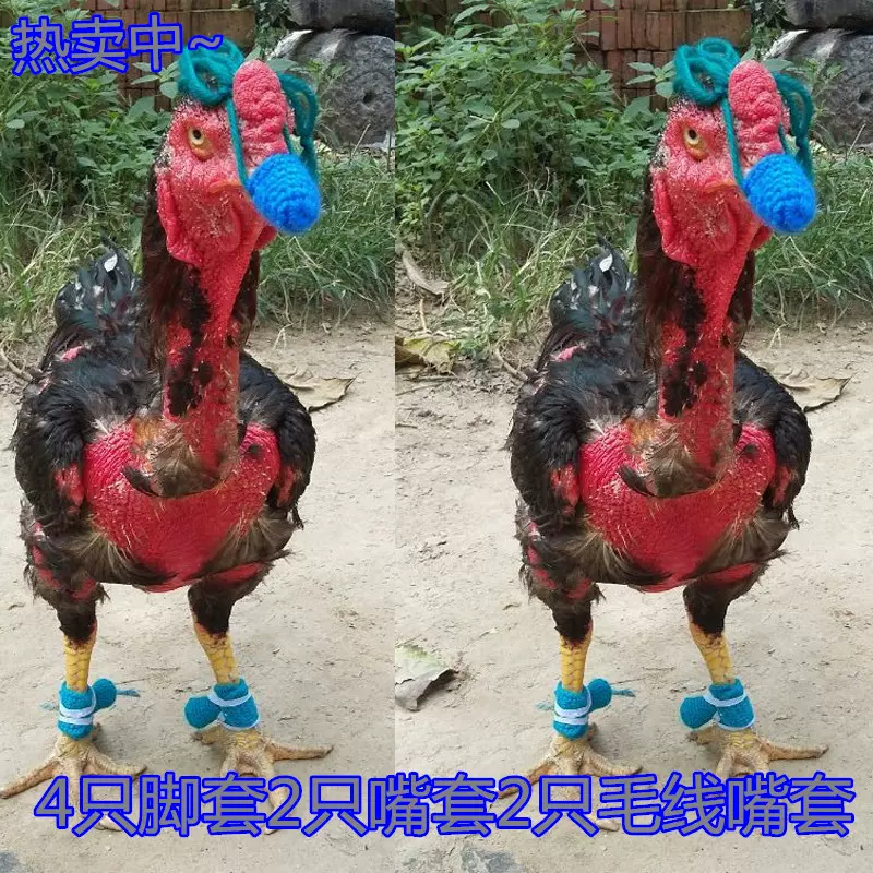 斗鸡用品 斗鸡 脚套斗鸡毛线嘴套 驯养斗鸡专用 皮嘴套 斗鸡 护具