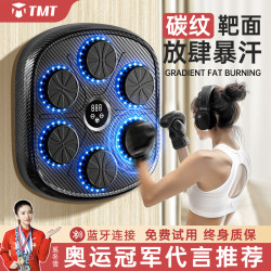 Smart Music Boxing Machine for Home Use, Adult Wall Target, Children's Strike Reaction Indoor Electronic Target, Martial Arts Training Equipment