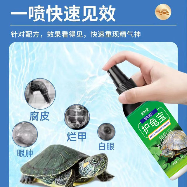 Turtle Protector All-Purpose Turtle Protector Brazilian Turtle Turtle ...