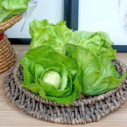 Plastic Pvc Realistic Touch Open Coconut Spring Cabbage Model Fake Vegetable Decoration Display Cabinet Props