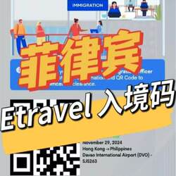 Fill Out the Etravel Electronic Entry Declaration for the Philippines Visa Application Form