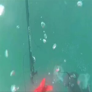 
Diving fish gun Underwater fish shooter