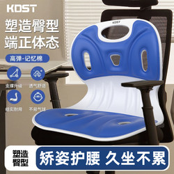 Kdst Sitting Posture Waist Support Office Chair Cushion for Long Sitting Without Fatigue, Correct Sitting Posture Adult Lumbar Cushion, Lumbar and Cervical Spine Traction Device