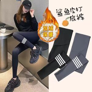 清仓孕妇裤子秋冬季外穿加厚加绒鲨鱼裤显瘦打底裤长裤高弹瑜伽裤