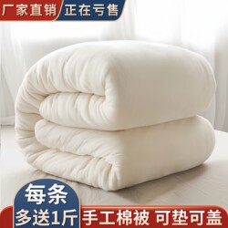 Cotton Quilt for Student Dormitory, Mattress Pad, Single Handmade Winter Quilt, Double Thickened Cotton Core, Warm Quilt Core