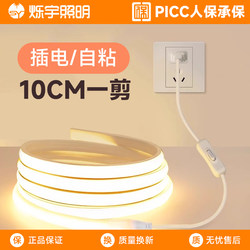 220V Led Strip Light Cob Indoor Bedroom Bedside Living Room Tv Background Wall Switch Plug-In Ambient Light
