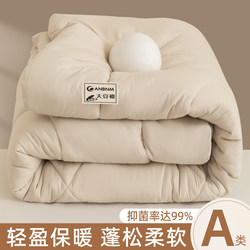 Soybean Fiber Quilt, Winter Quilt, Cotton Quilt, Thickened Warm Quilt for Spring and Autumn, Single Summer Cool Air-Conditioning Quilt, Suitable for All Seasons