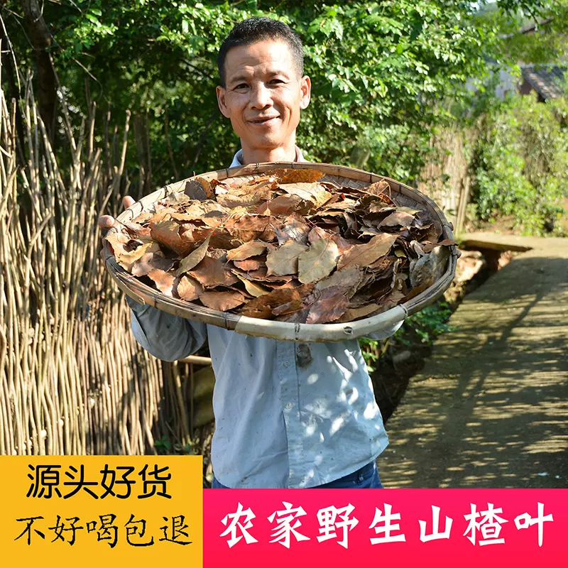 野生山楂叶干500g自晒无硫山楂干叶食用清火开胃泡水草药材正品 Taobao