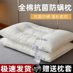 Pillowcase and Pillow Core Set, Adult Cervical Spine Support Sleep Aid Set, Pair for Home Use, Non-Collapsing, Non-Deforming, Full Head Support